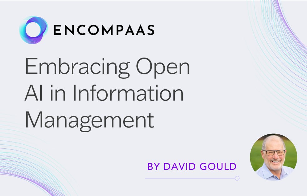 Embracing OpenAI in Information Management 